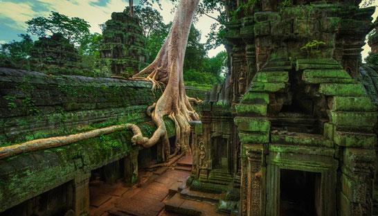 Magical-Angkor-Highlight